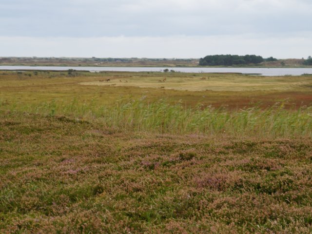 Tur til Jylland Sep. 2020